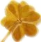 le logo de la web